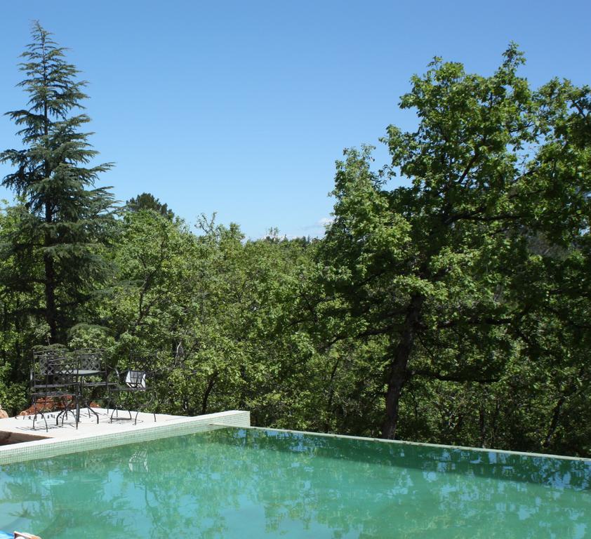 Sous Les Oliviers - Piscine Chauffee - Studios De Standing Tout-Equipes Saint-Maximin Værelse billede