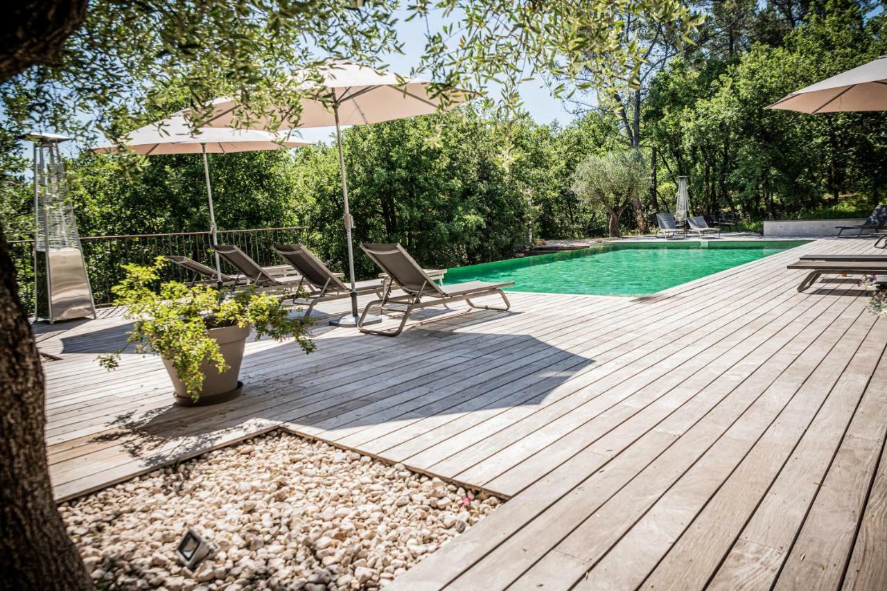 Sous Les Oliviers - Piscine Chauffee - Studios De Standing Tout-Equipes Saint-Maximin Eksteriør billede